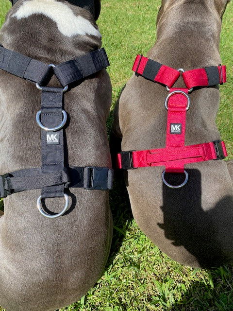 MK Tri Harness